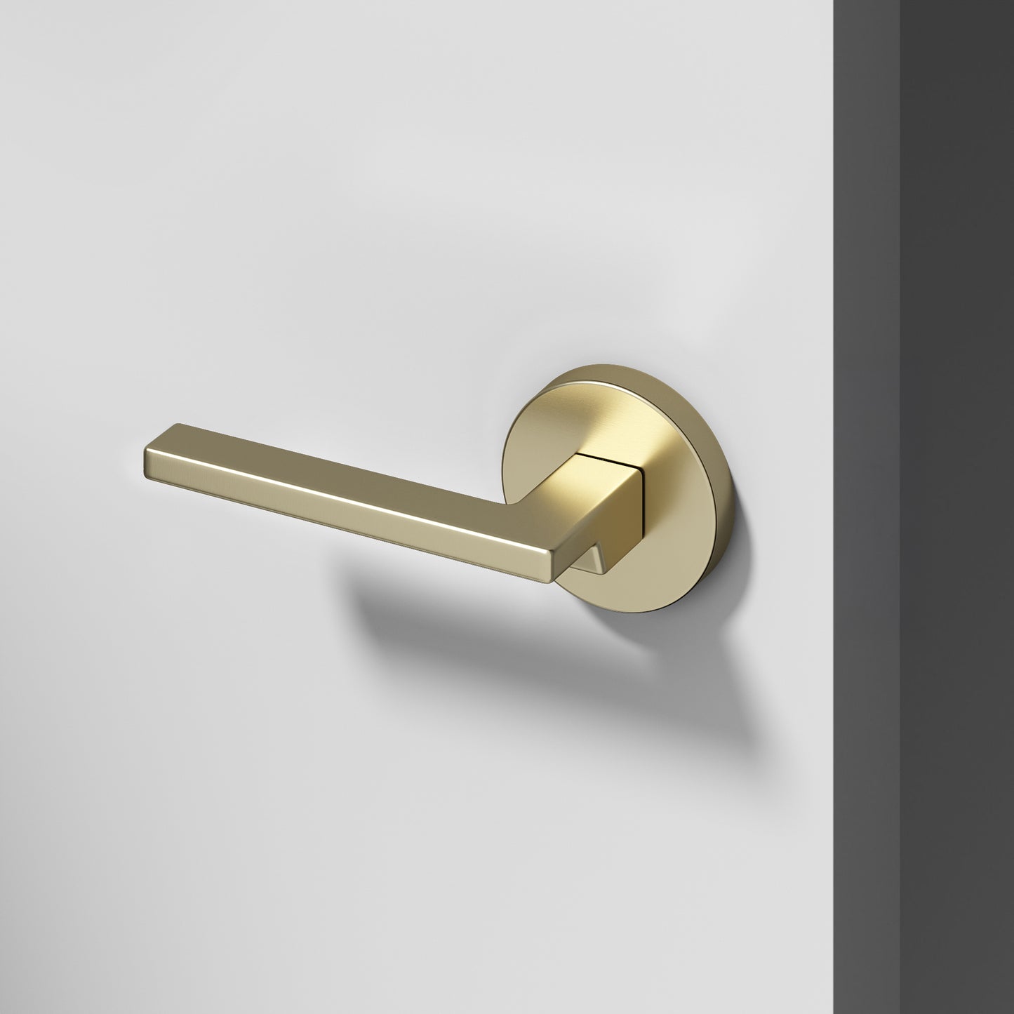 
              
                Dune Dummy Door Handle
              
            