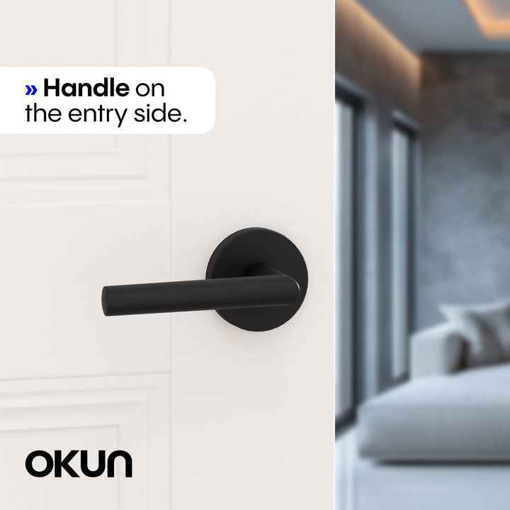 Stark Passage Door Handle