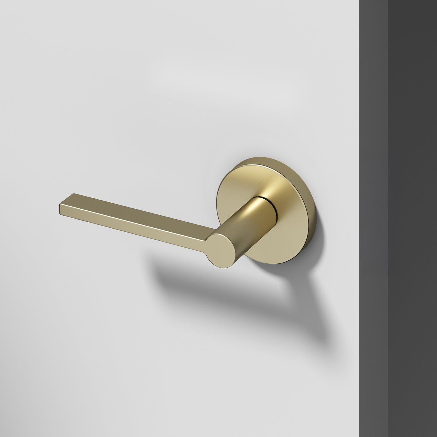 
              
                Muse Dummy Door Handle
              
            