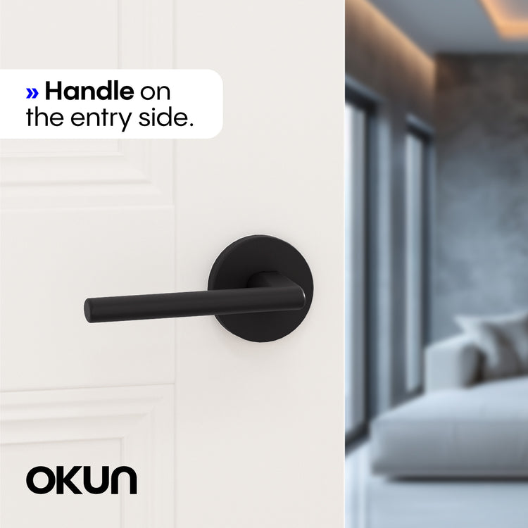 
                  
                    Brio	Passage Door Handle
                  
                
