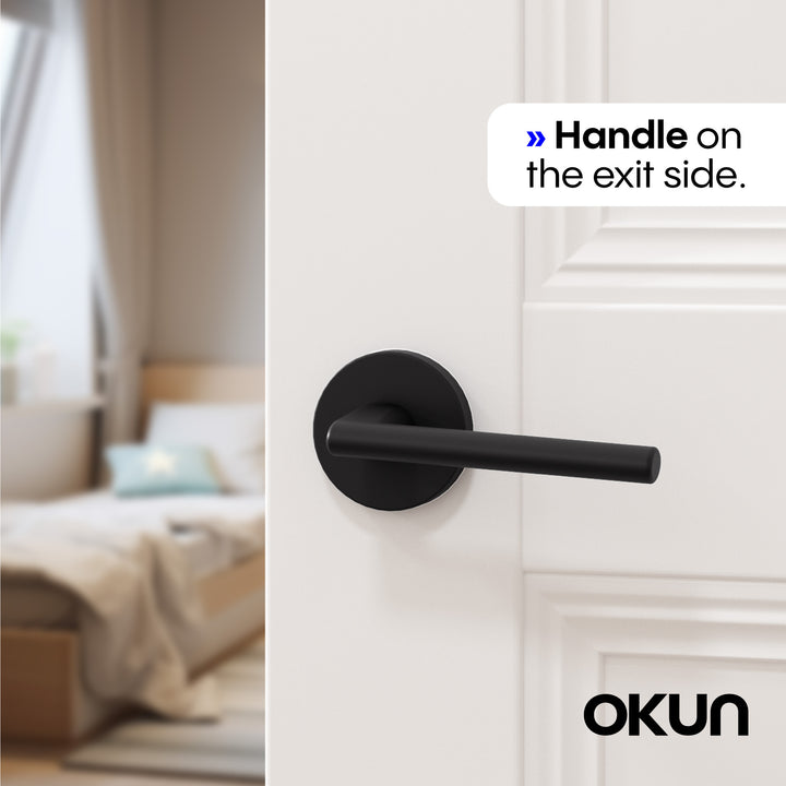 Brio	Passage Door Handle