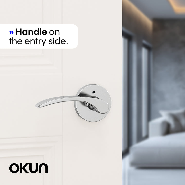 Brook Privacy Door Handle