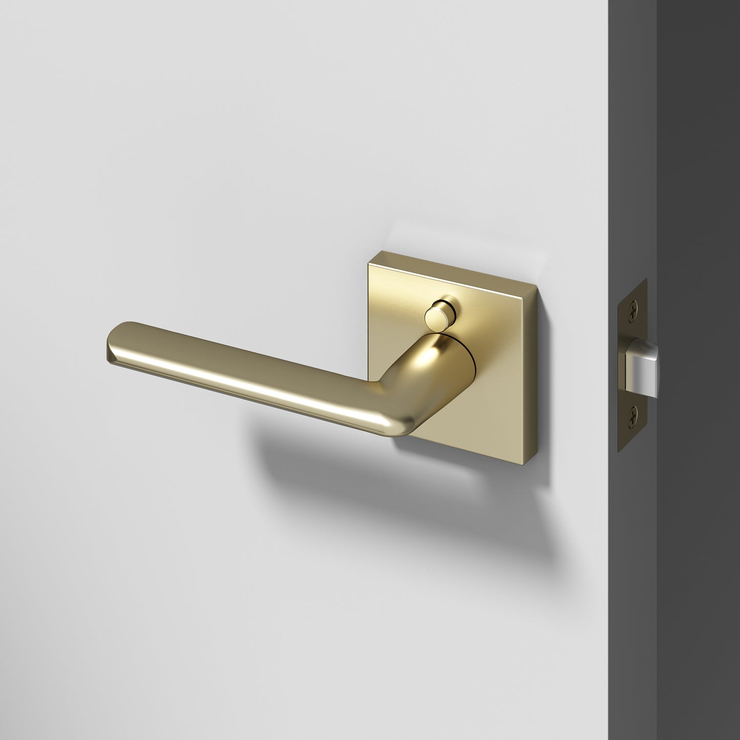 
              
                Mirra Privacy Door Handle
              
            