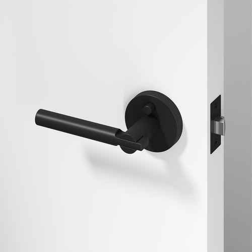 Privacy Door Handles